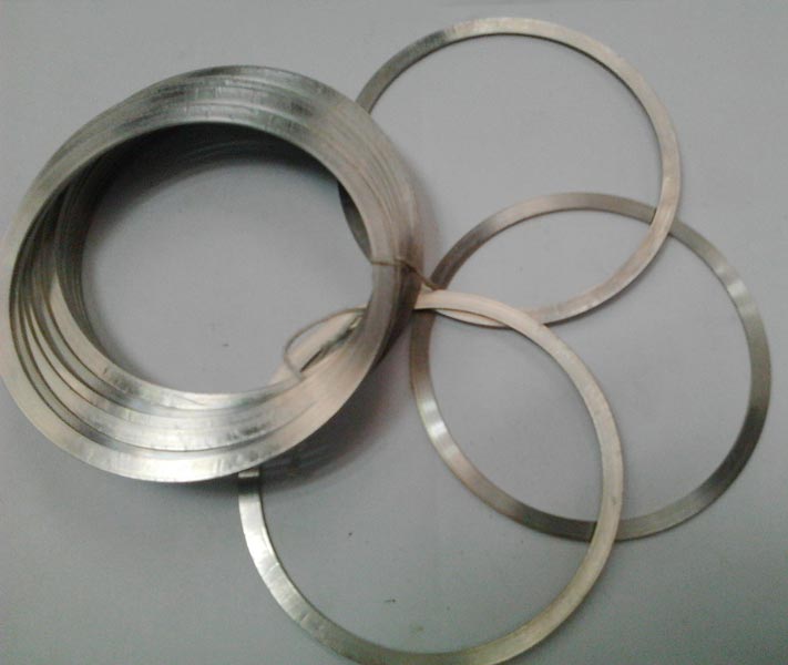 UNS 31803 Gaskets